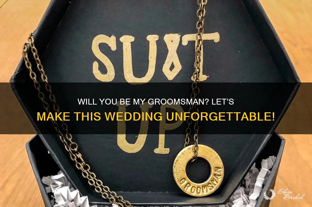will you give being my groomsman a shot