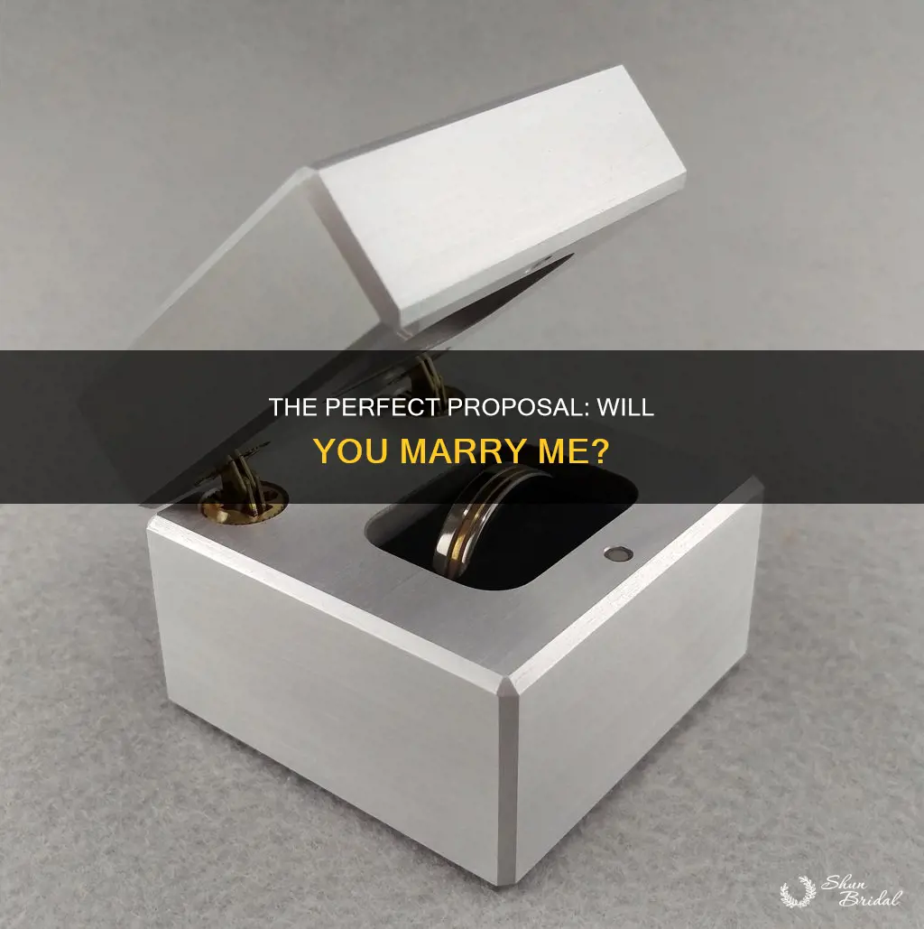 will you marry me wedding ring box