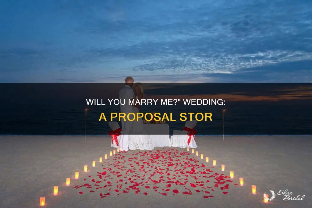 will you marry me wedding