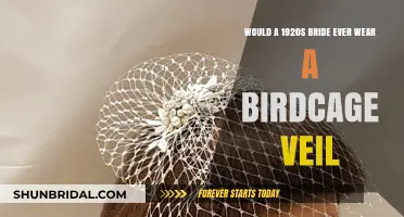 Birdcage Veils: A 1920s Bride's Daring or Unlikely Choice?