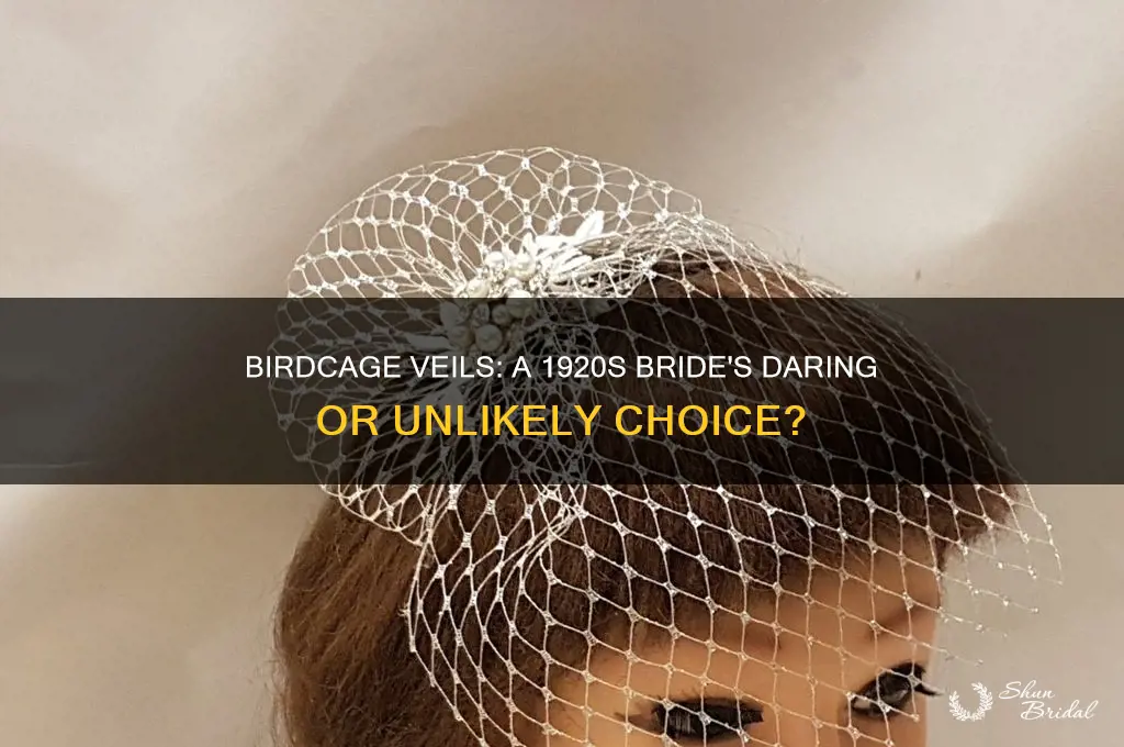 would a 1920s bride ever wear a birdcage veil