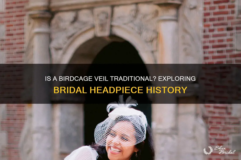 would a birdcage veil be traditional