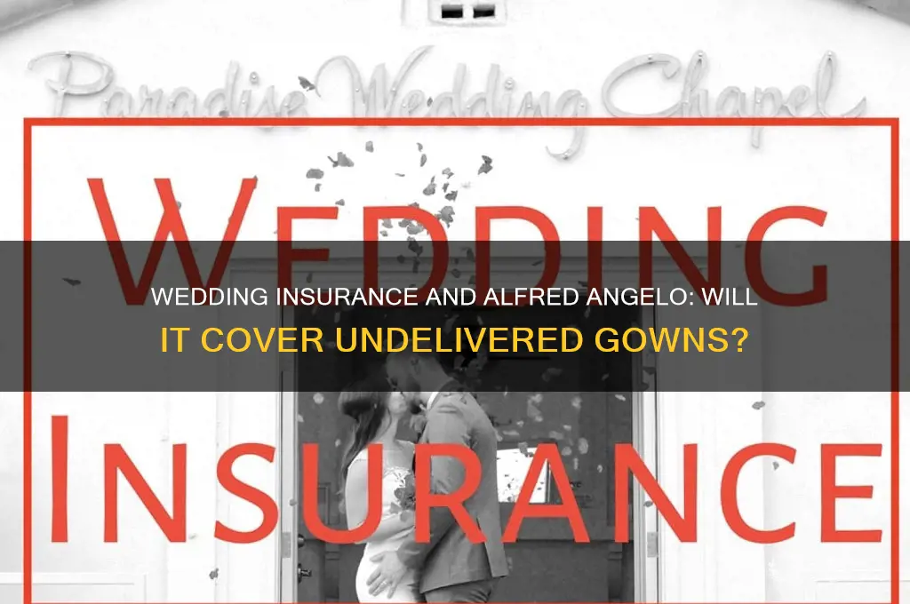 would wedding insurance cover the alfred angelo not delivering gowns