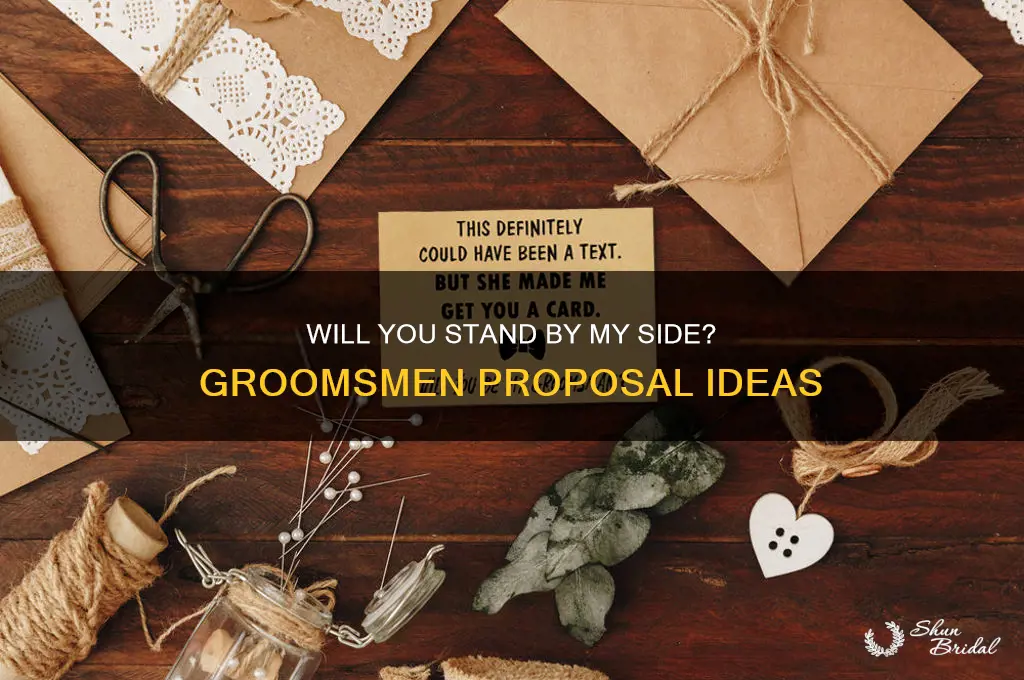 would you like to be my groomsmen