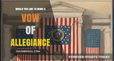 Should You Pledge Loyalty? Exploring the Vow of Allegiance
