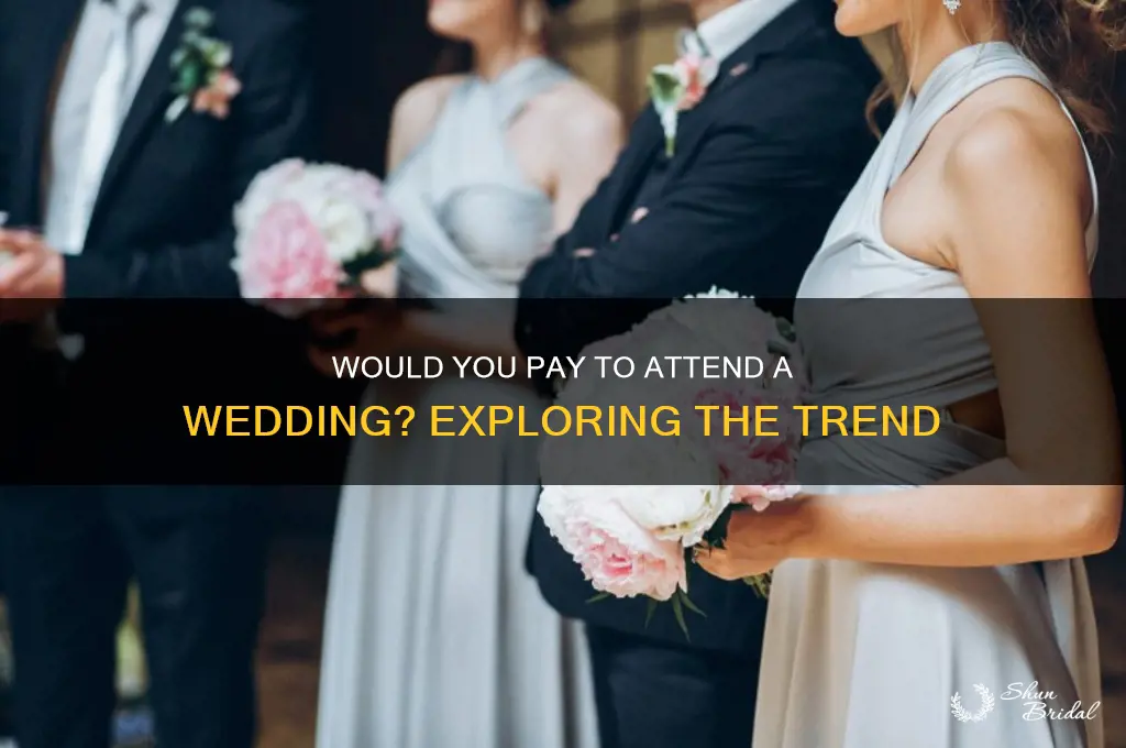 would you pay to go yo a wedding